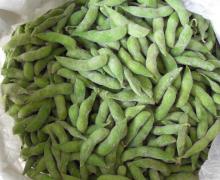  Frozen  Green Soy Bean