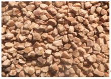 walnut hell powder