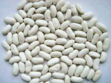 White Kidney Bean Extract
