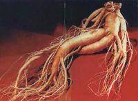 Ginseng Extract