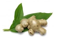 Ginger Extract