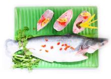 Basa HGT