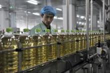 Edible Palm Oil