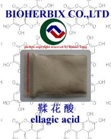 ellagic acid