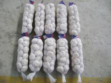 New Fresh Garlic