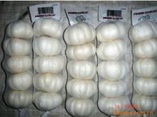 pure white garlic 6cm in 5pcs bags