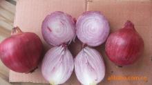 fresh red onion
