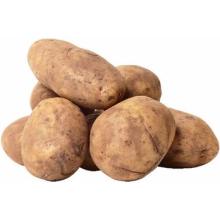 fresh  irish   potato ,,