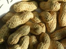 PEANUTS KERNELS