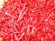 Dried red chillies stemless