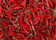 Dry red chillies