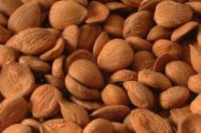 high Organic and Conventional Apricot Kernels in Bitter or Sweet types.