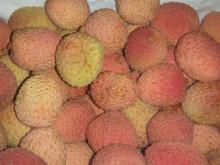 Fresh Lychee