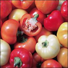 Paprika Seeds