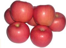 Fuji Apple