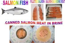 Canned Salmon Meat in Brine