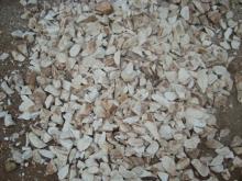Tapioca Chips