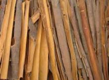 SPLIT CASSIA