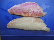  Frozen  fish, frozen   Red   mullet 