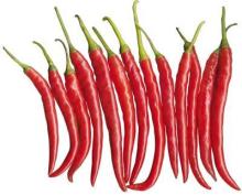 Red  pepper   extract , Capsaicin 5%,10%,40%,95%,98%,99% by HPLC