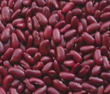 DARK RED KIDNEY BEANS