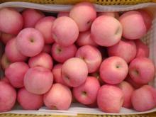 grade A fuji apple, grade 1 fuji apple from China