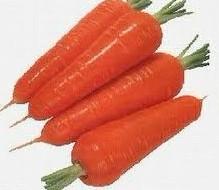 Carrot Extract