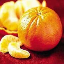 Orange Juice Extract