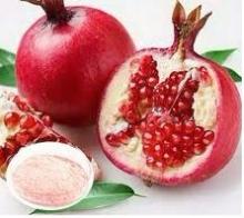  Pomegranate   Juice   Powder 