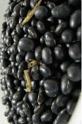 Black Bean Extract