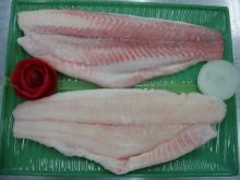 Frozen pink meat Pangasius fillet, skinless, boneless, belly on, fat on, red meat on, untrimmed