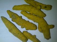 Turmeric Finger
