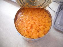 Canned Mandarin Orange Broken In Syrup