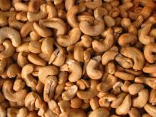 Raw Cashew Nuts