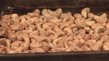 ROASTED SALTED CASHEW NUTS