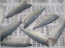  Frozen   Mackerel  Fillet