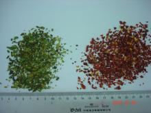 AD green bell pepper 3-3mm