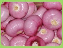 Fresh Onions