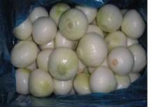  peeled   white   onion 