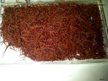 Saffron
