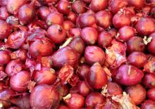 Red Onion