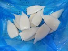 IQF squid and calamary, frozen seafood