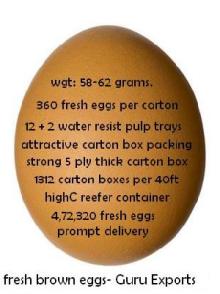Fresh Farm Table Eggs