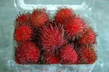  Fresh   Rambutan 
