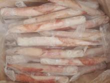 Frozen Whole Round Squid