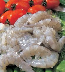 FROZEN  WHITE   SHRIMP  PEELED NEEDEL DEVEINED ( PND )