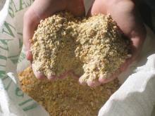 chicken feed