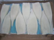 Frozen BQF squid tube