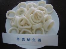 IQF Frozen Squid Rings