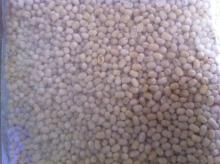 URID GOTA FAQ (ORDINARY QUALITY)